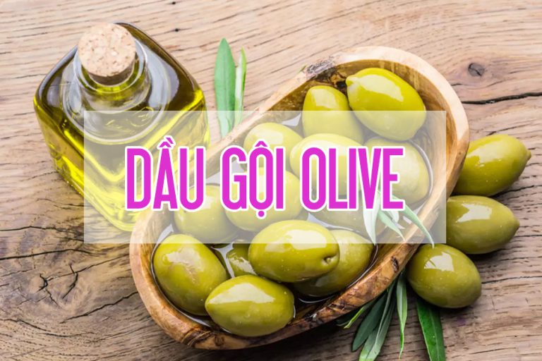 Dầu gội Olive