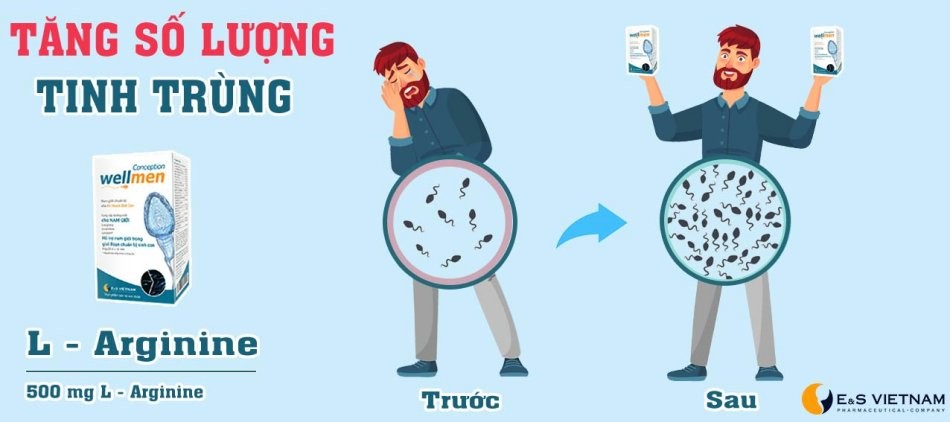 Hỗ trợ gia tăng số lượng và chất lượng tinh trùng