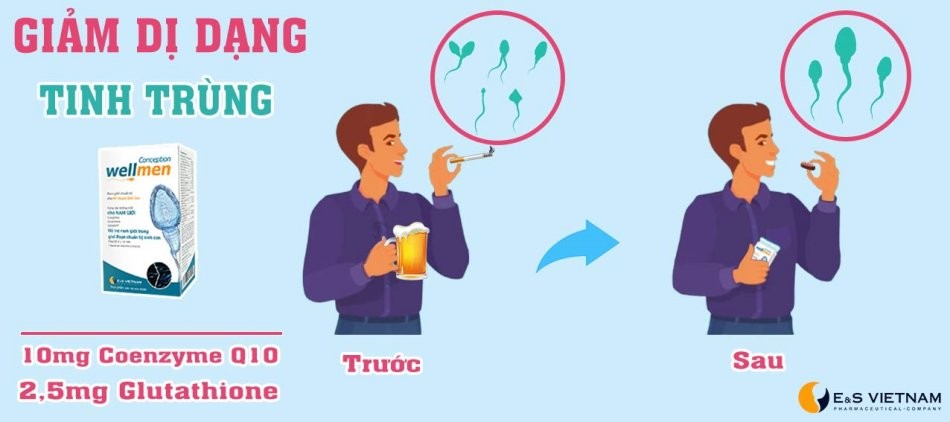 Wellmen giảm dị dạng tinh trùng